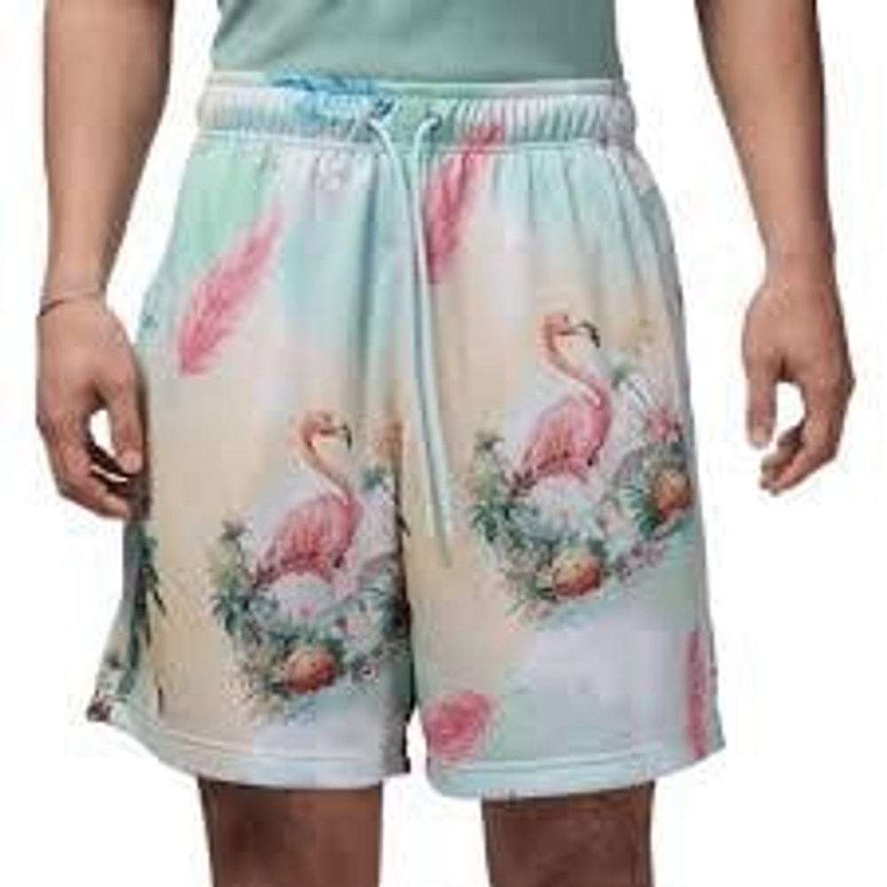 Jordan Flamingo Essentials Mesh Shorts Glacier Blue Size Medium